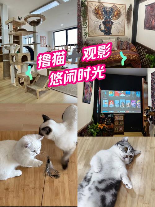 欧美区国产区二区三区的相关介绍