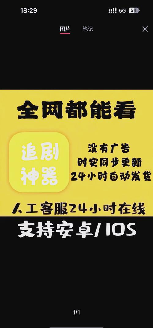 老女人一级黄色录像片的相关介绍