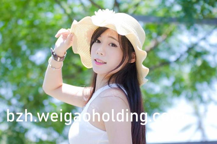 欧美一区二区三区四公司的相关介绍