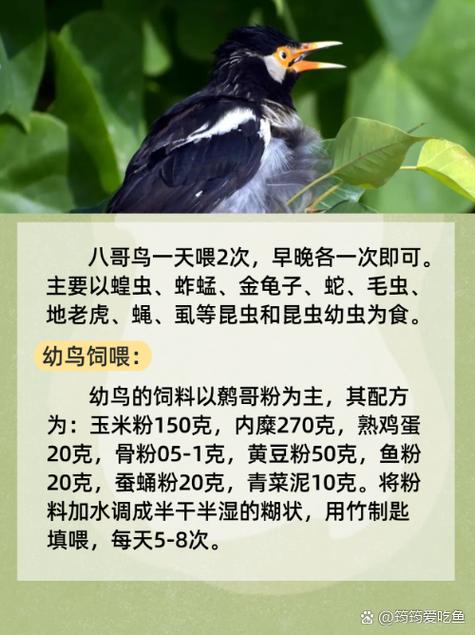 草人影院的相关介绍