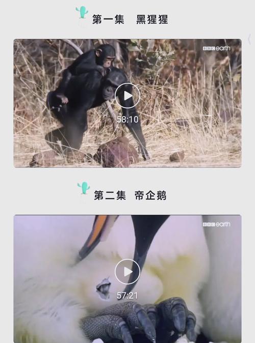 亚洲国产天堂久久综合226114的相关介绍