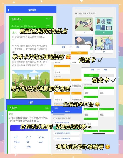 久久久精品无的相关介绍