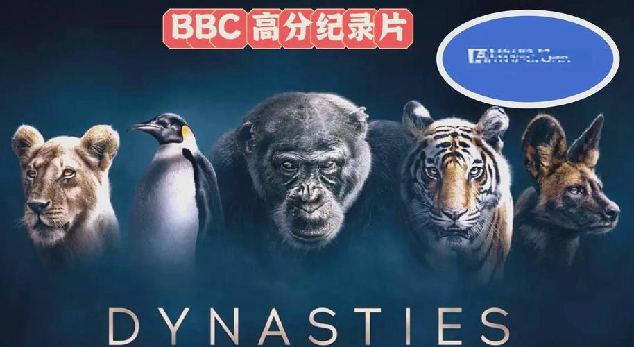 人妻啪啪综合网的相关介绍
