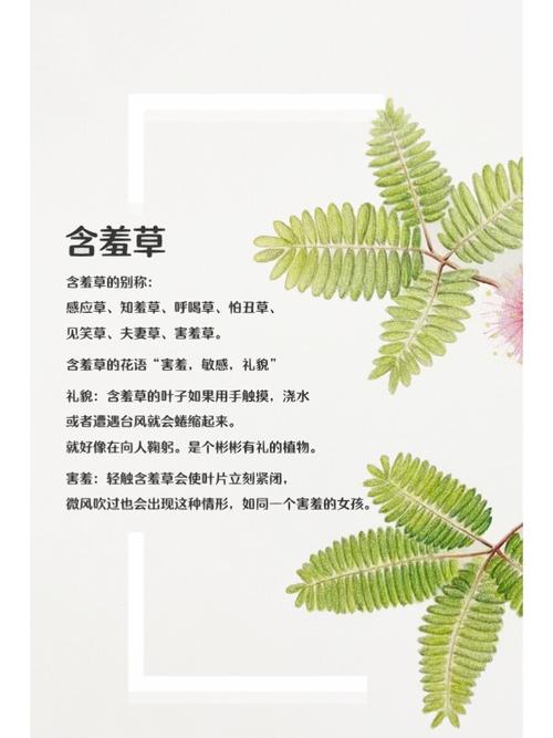 天龙高清影院的相关介绍
