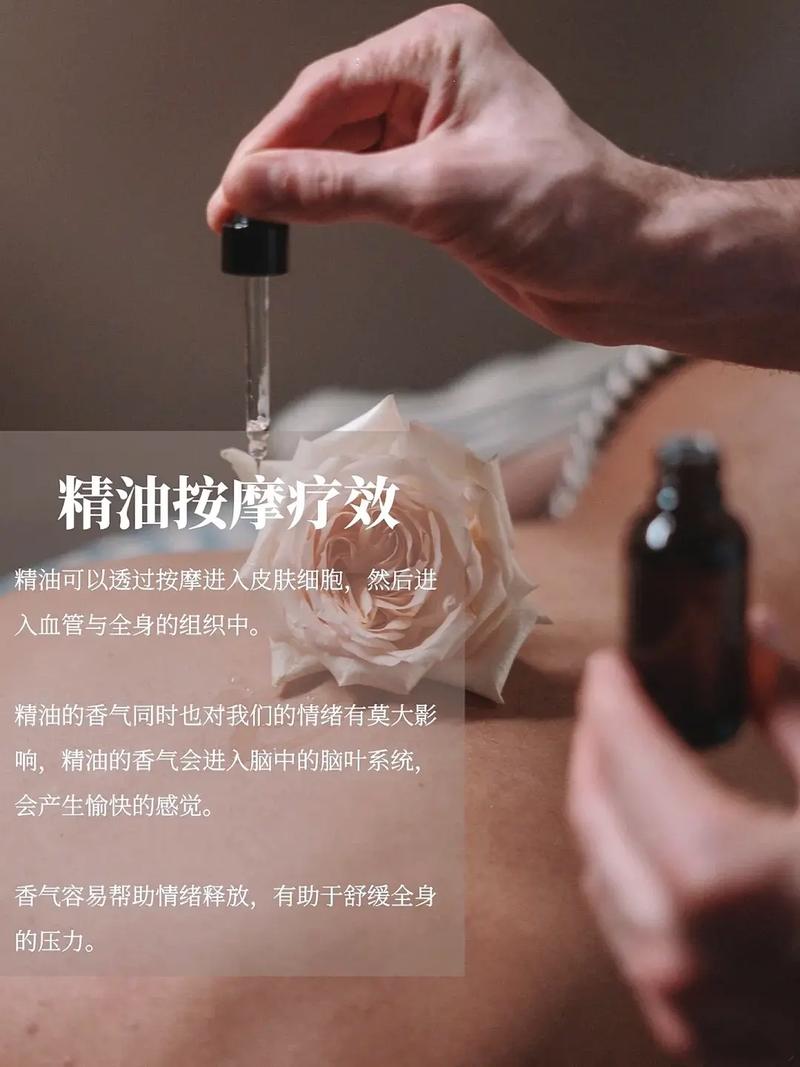 丰满女秘书的诱惑的相关介绍