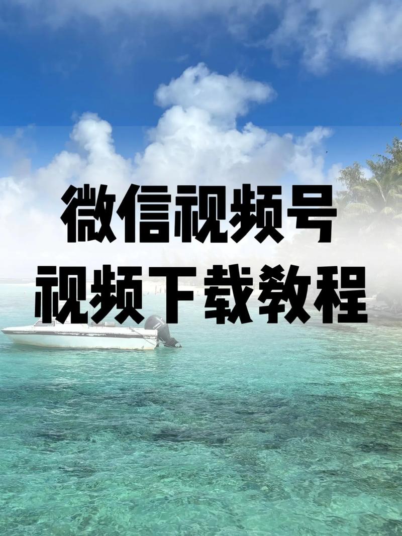99国产精品久久不卡毛片的相关介绍