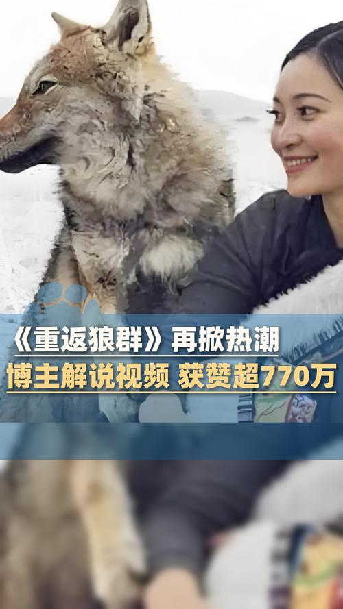成年人该看的毛片的相关介绍