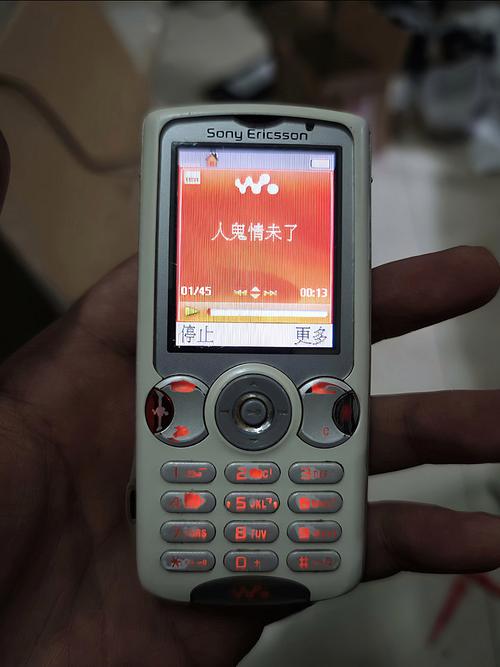 国产精品久久久久久久久毛片的相关介绍