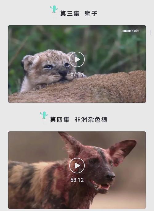 老司机影院视频福利网站的相关介绍