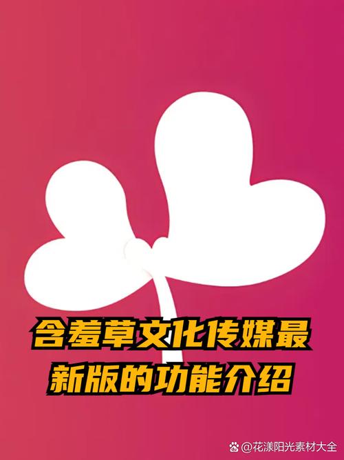 夫妻看的毛片的相关介绍