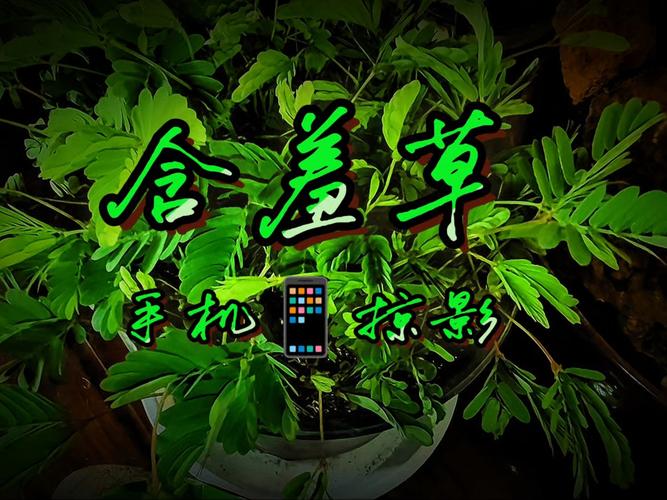 欧美一区二区免费观在线的相关介绍