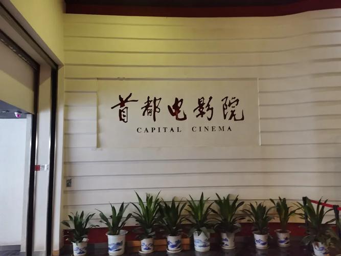 久久久久久亚洲少妇的相关介绍