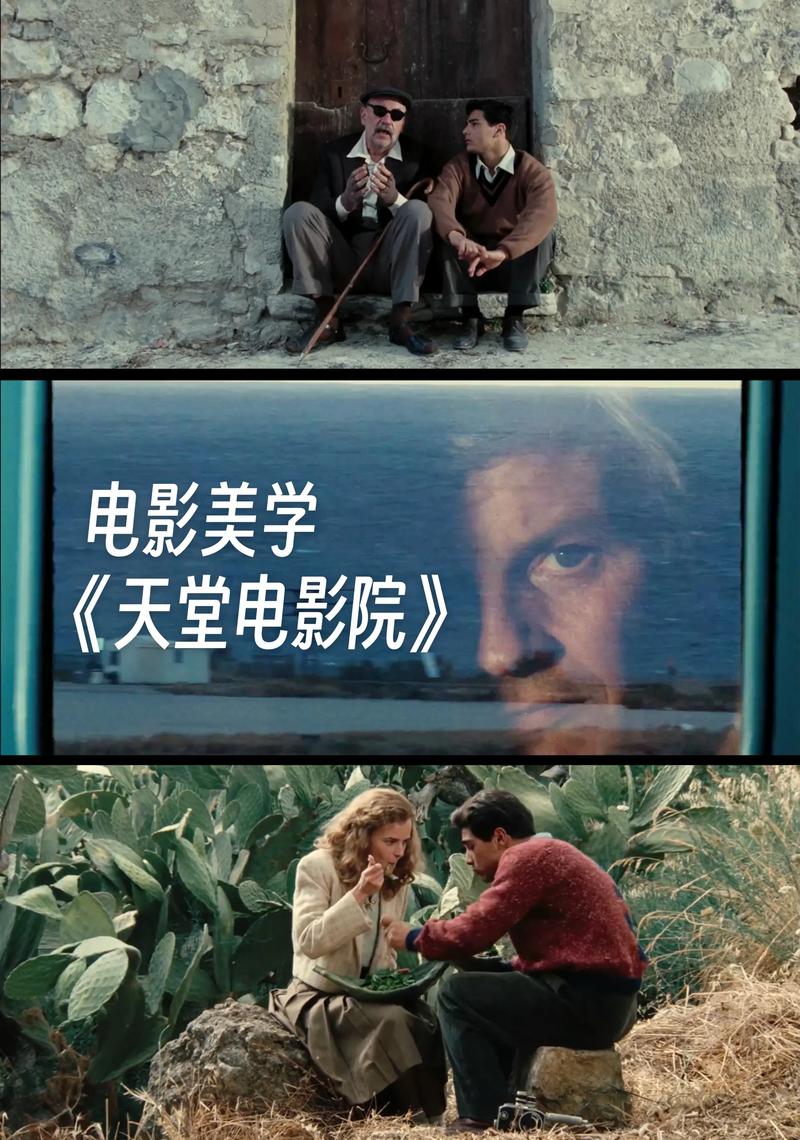 欧美成人杂乱在线的相关介绍