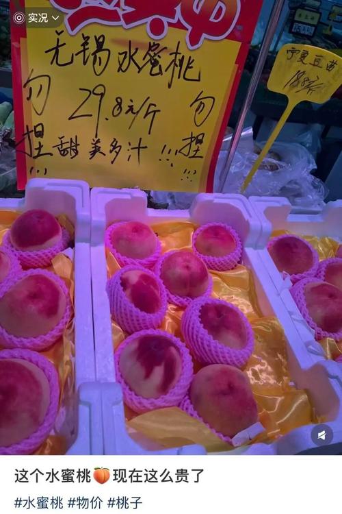 精品久久久区的相关介绍