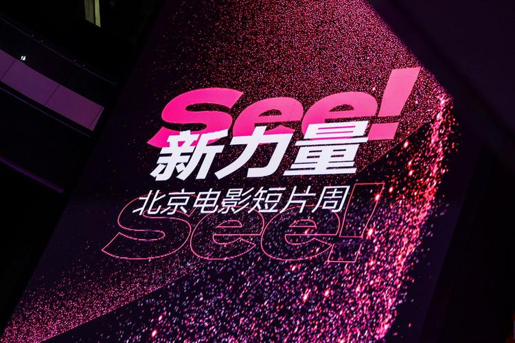 我把黑丝美女操出白浆视频在线看的相关介绍