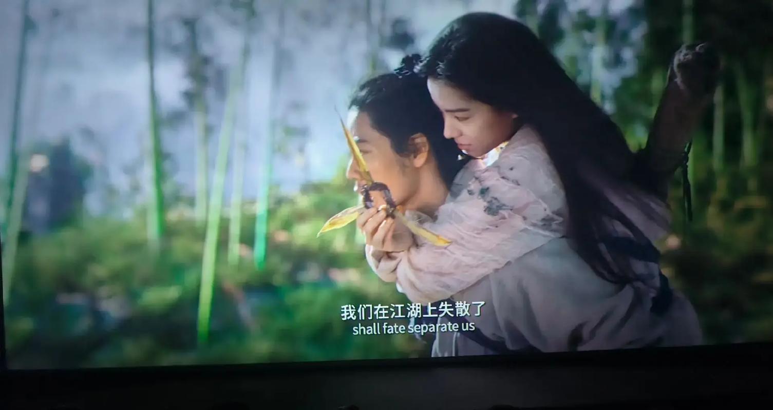 桃花影院在线观看的相关介绍