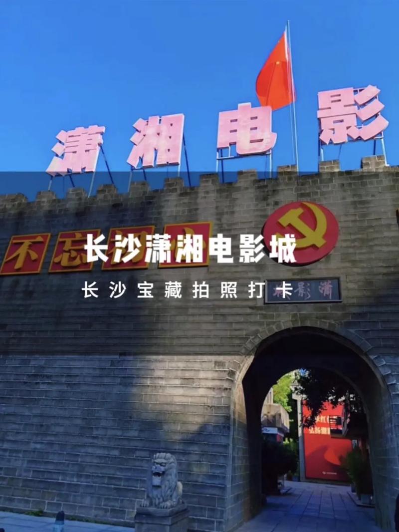 成年人亚洲毛片的相关介绍