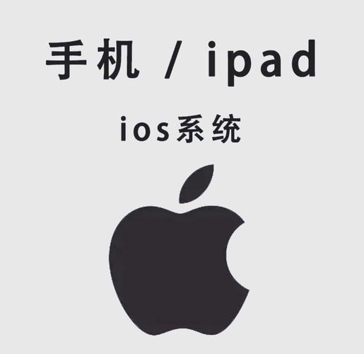 国内精品久久久久久的相关介绍