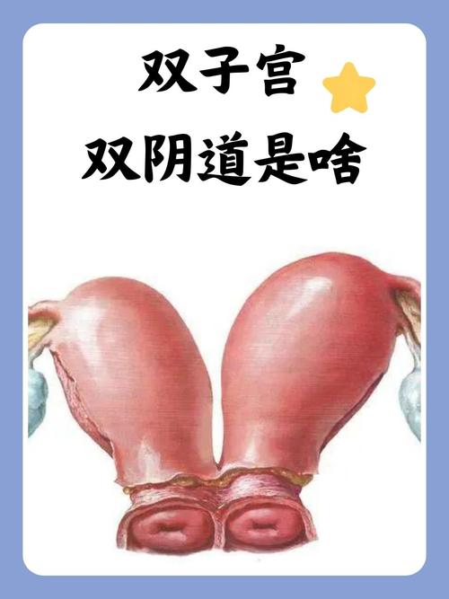 免费看美女私密的相关介绍