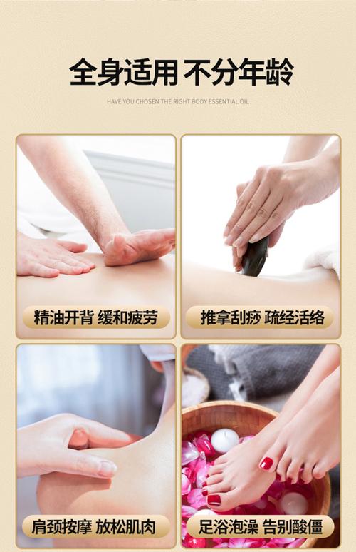 美女性感丝袜av一区二区的相关介绍