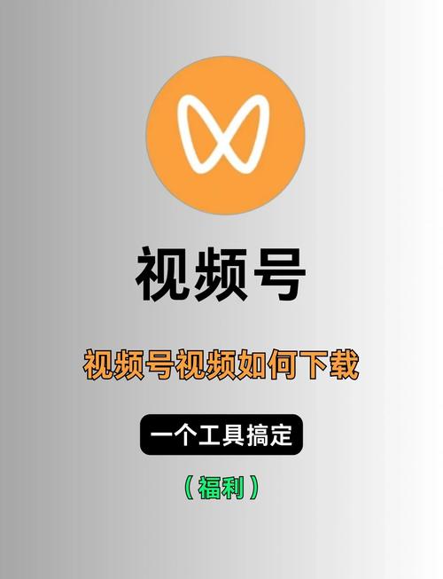 张柏芝大尺度写真的相关介绍