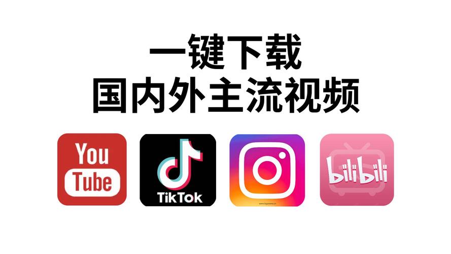从哪看毛片的相关介绍