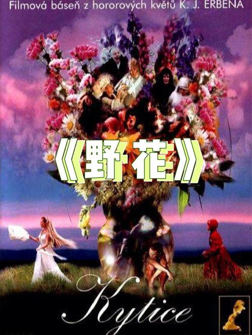 adc影院的相关介绍