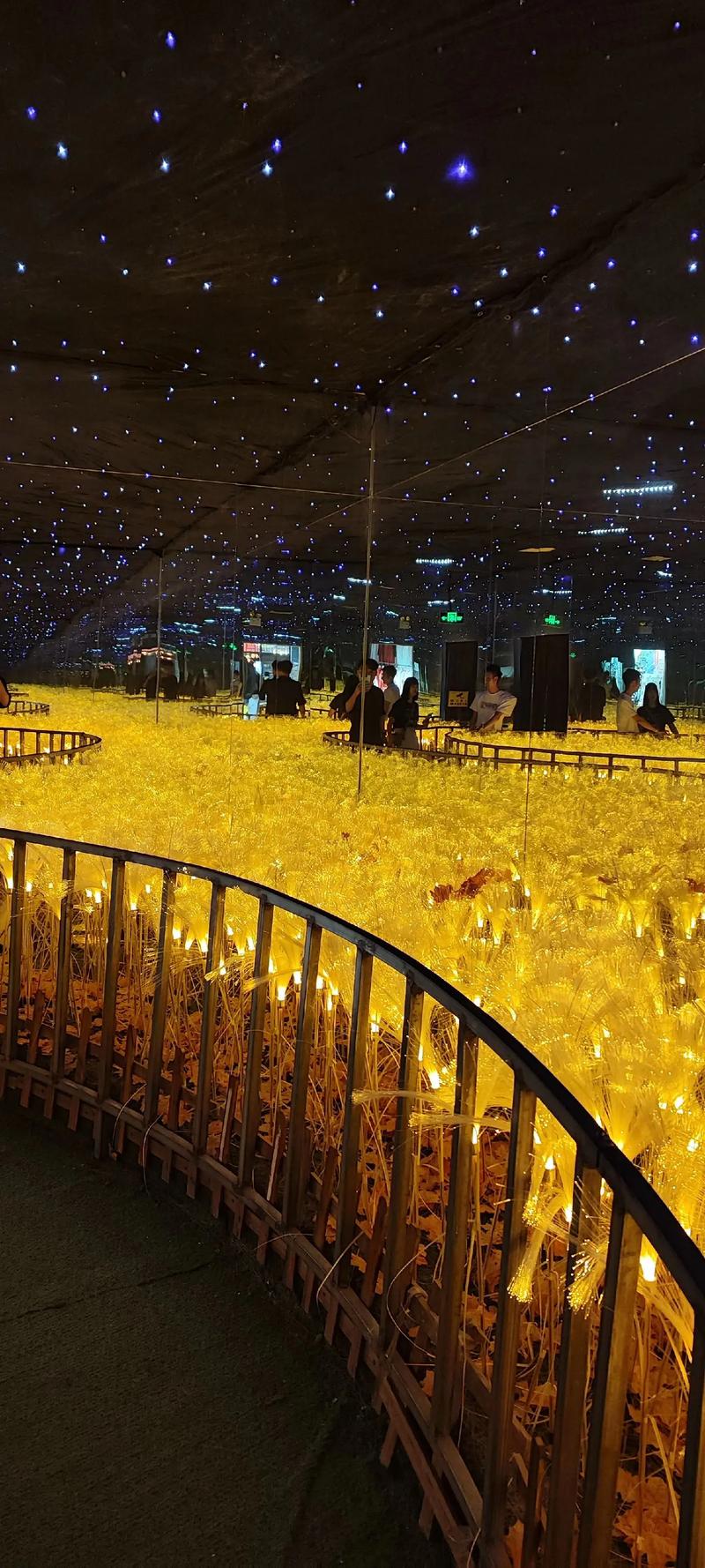 老师操的逼的相关介绍