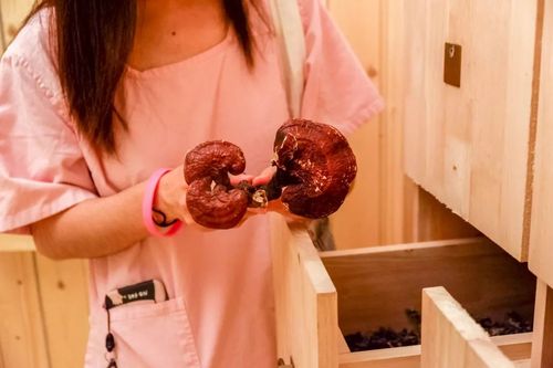 女秘书诱惑我的相关介绍