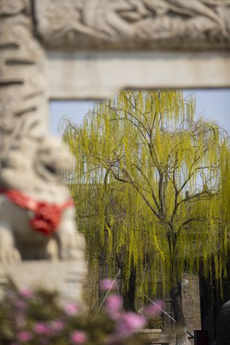 av黑丝在线免费观看的相关介绍