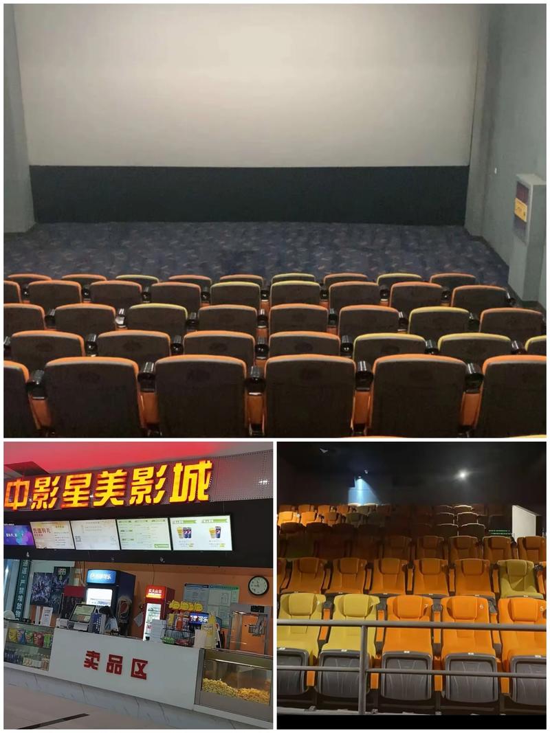 成年女人免费看a的相关介绍