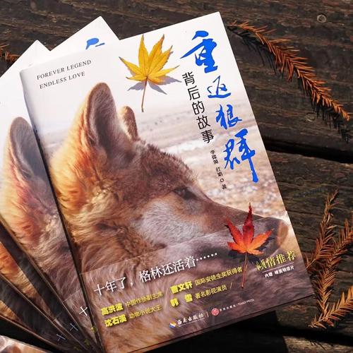 av熟妇的相关介绍