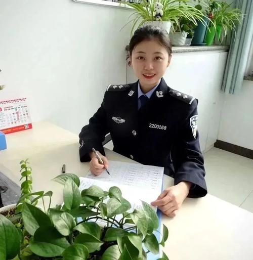 可以看各种免费视频的app的相关介绍