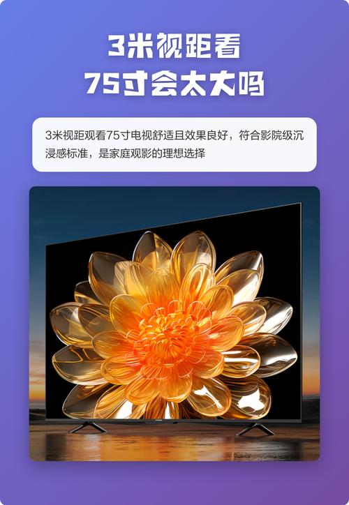 美女老师让我上的相关介绍
