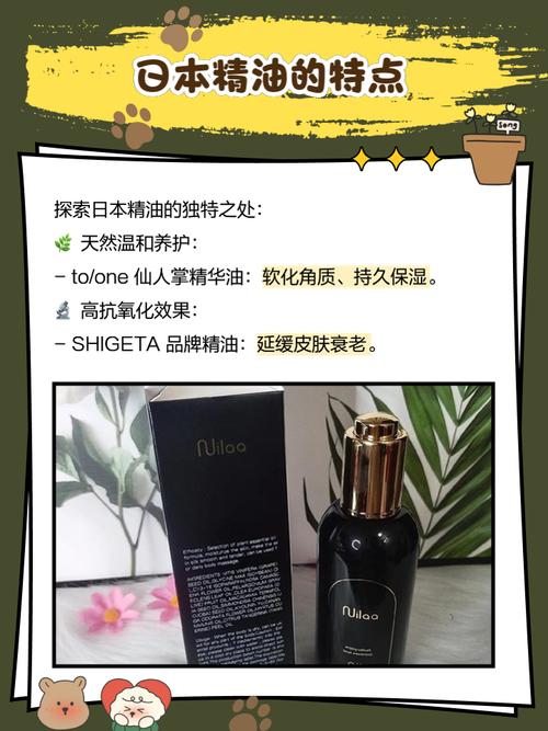 日韩久久激情的相关介绍