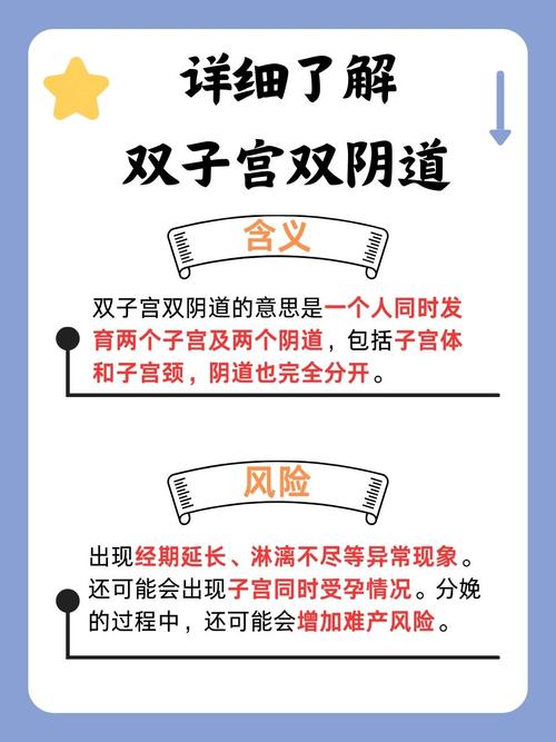 女邻居的性事的相关介绍