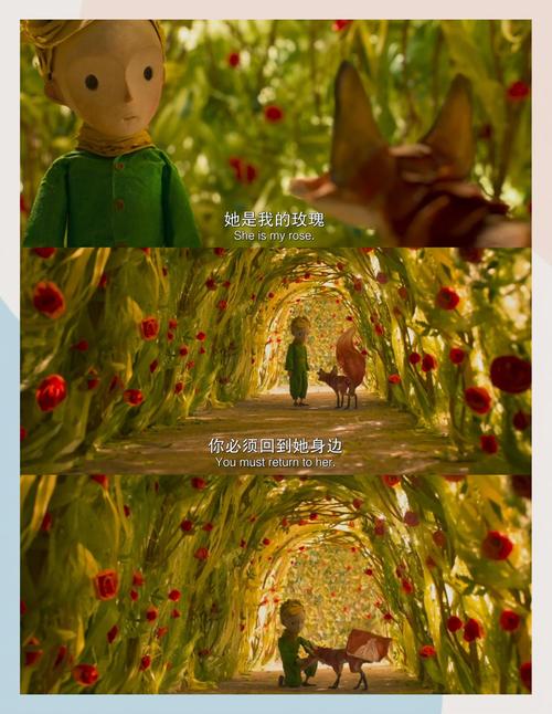 18禁的动漫在线看的相关介绍