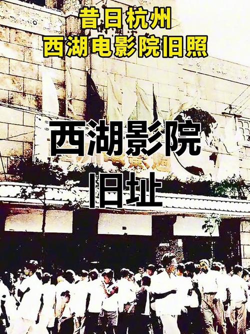 18岁的人适合看的app的相关介绍