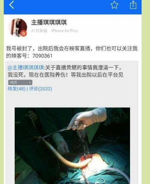 掌酷影院的相关介绍