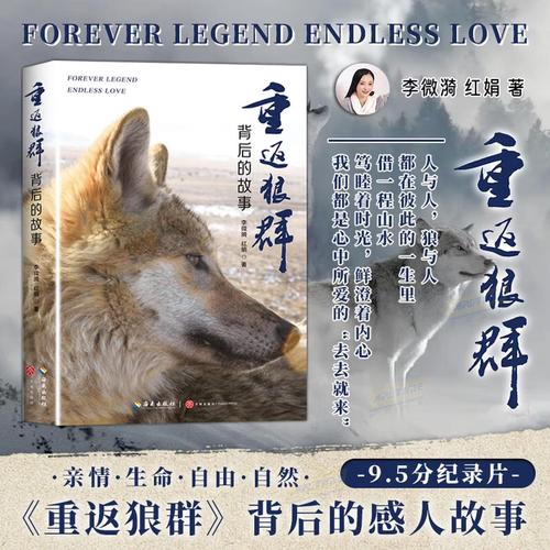 新人妻少妇av在线的相关介绍