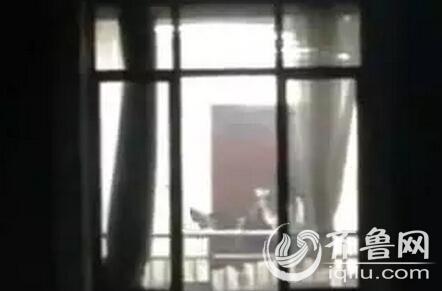 毒蛇影院的相关介绍