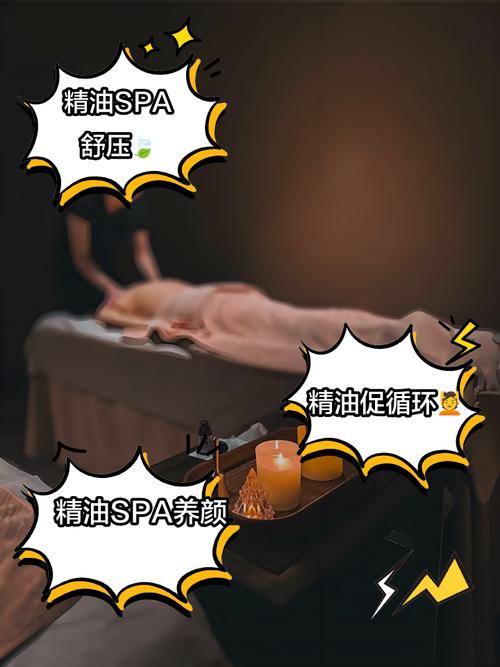 波罗野结衣毛片的相关介绍