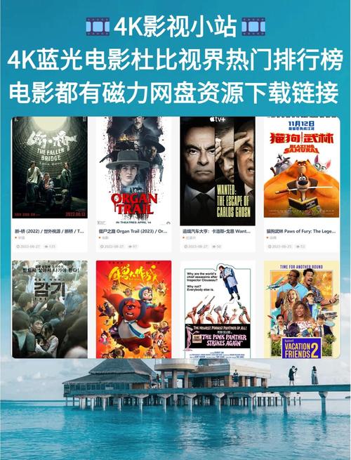 国产精品99久久久久久动医院的相关介绍