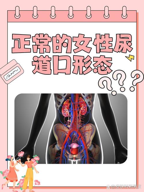 欧美熟妇乱506070的相关介绍